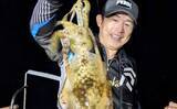「【沖釣り釣果速報】ティップランエギングで釣る人48匹！良型アオリイカが連続ヒット（北陸）」の画像1