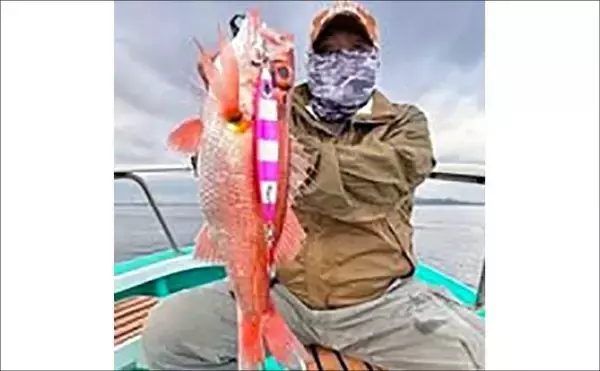 「【沖釣り釣果速報】ティップランエギングで釣る人48匹！良型アオリイカが連続ヒット（北陸）」の画像