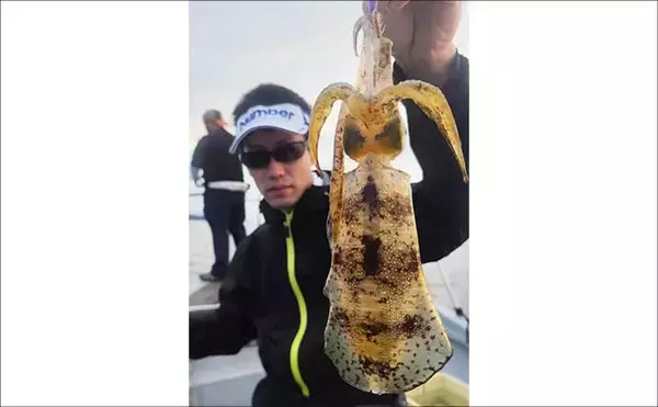 「【沖釣り釣果速報】ティップランエギングで釣る人48匹！良型アオリイカが連続ヒット（北陸）」の画像