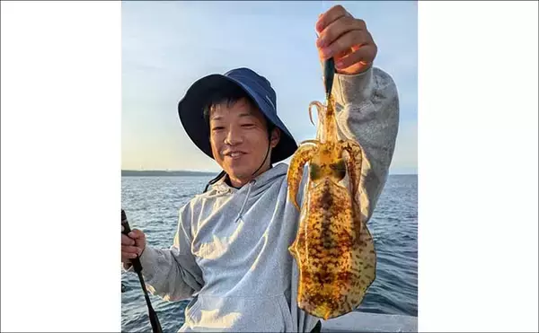 「【沖釣り釣果速報】ティップランエギングで釣る人48匹！良型アオリイカが連続ヒット（北陸）」の画像