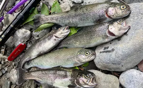 奥多摩の渓流釣りが禁漁に　熊の出没も相次いだ今シーズンを振り返る【東京】