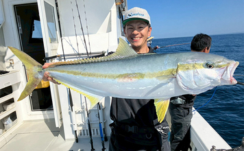 落とし込み釣りで超ド級ヒラマサ降臨！110cm・10kg超のオオマサをキャッチ【福岡・芦屋沖】