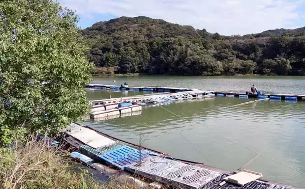 今週のヘラブナ推薦釣り場2025【静岡・西大谷池】