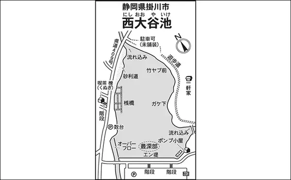 「今週のヘラブナ推薦釣り場2025【静岡・西大谷池】」の画像