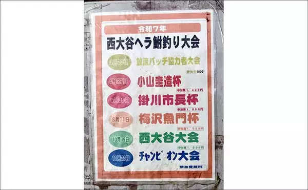 「今週のヘラブナ推薦釣り場2025【静岡・西大谷池】」の画像