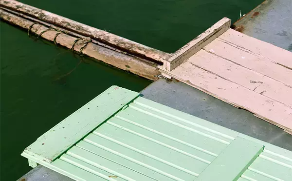 「今週のヘラブナ推薦釣り場2025【静岡・西大谷池】」の画像