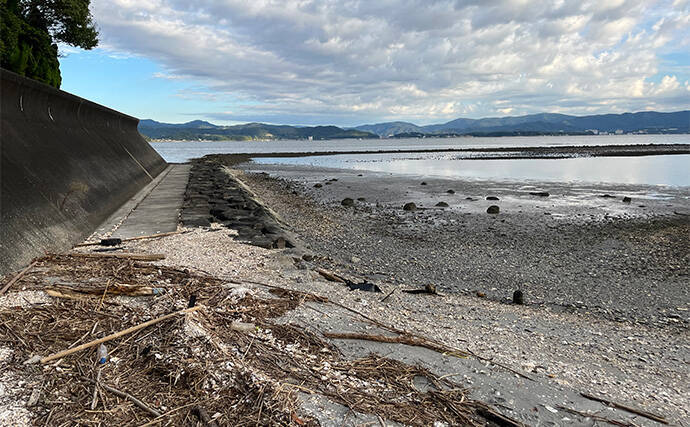 浜名湖ルアーフィッシングで37cmキビレをキャッチ！ ダイソースプーンただ巻きにヒット