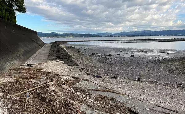 「浜名湖ルアーフィッシングで37cmキビレをキャッチ！ ダイソースプーンただ巻きにヒット」の画像