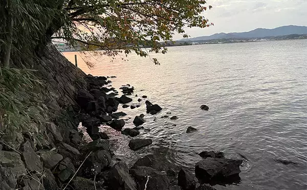 「浜名湖ルアーフィッシングで37cmキビレをキャッチ！ ダイソースプーンただ巻きにヒット」の画像