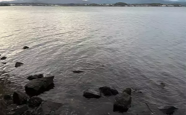 「浜名湖ルアーフィッシングで37cmキビレをキャッチ！ ダイソースプーンただ巻きにヒット」の画像