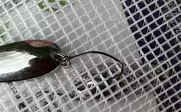 「浜名湖ルアーフィッシングで37cmキビレをキャッチ！ ダイソースプーンただ巻きにヒット」の画像