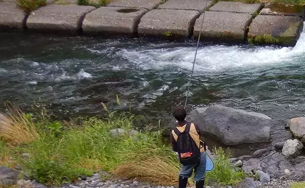 「山梨・桂川での渓流エサ釣りで尺イワナに尺ニジマス手中に満足」の画像