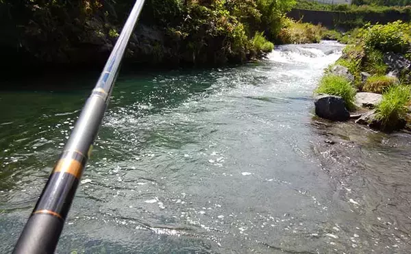「山梨・桂川での渓流エサ釣りで尺イワナに尺ニジマス手中に満足」の画像