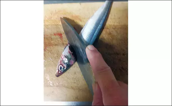 「釣った青魚で作る「ウルメイワシの蒲焼き風」レシピ　煮詰め＆香草がポイント」の画像