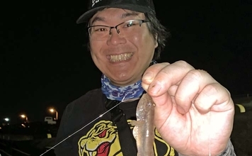 揖斐川のナイトハゼ釣りで21匹キャッチ【三重】ゲストにセイゴやヒイラギもヒット