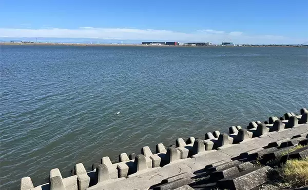 「陸っぱりルアーマゴチゲームで本命連発！【木曽川河口】バス用ワームに好反応」の画像