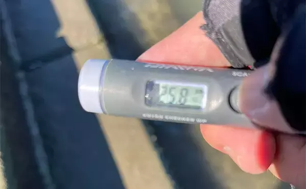 「陸っぱりルアーマゴチゲームで本命連発！【木曽川河口】バス用ワームに好反応」の画像