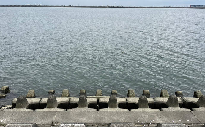 陸っぱりルアーマゴチゲームで本命連発！【木曽川河口】バス用ワームに好反応