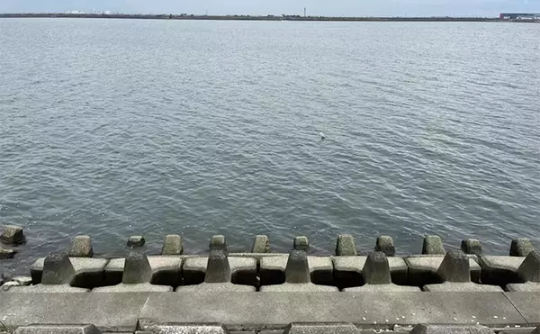 「陸っぱりルアーマゴチゲームで本命連発！【木曽川河口】バス用ワームに好反応」の画像