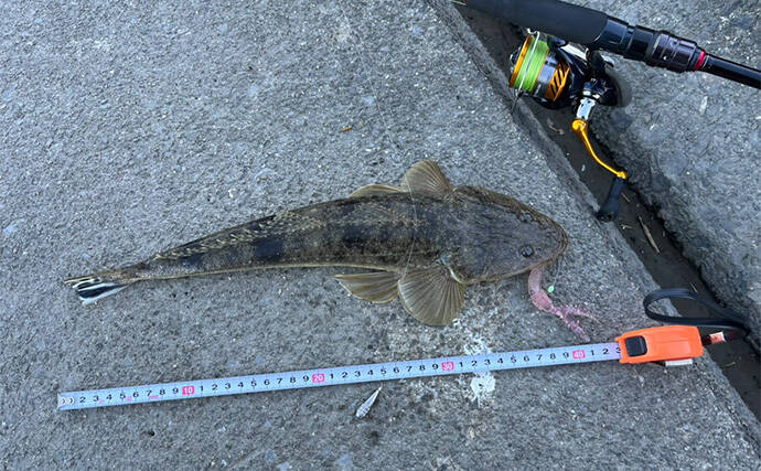 陸っぱりルアーマゴチゲームで本命連発！【木曽川河口】バス用ワームに好反応