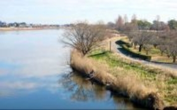 今週のヘラブナ推薦釣り場2026【群馬県・城沼】