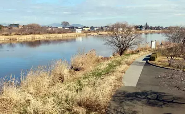 「今週のヘラブナ推薦釣り場2026【群馬県・城沼】」の画像