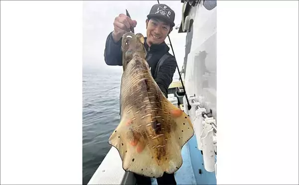 「SLJ（スーパーライトジギング）で50cm級特大イサキが登場！【沖釣り最新情報5選・福岡】」の画像