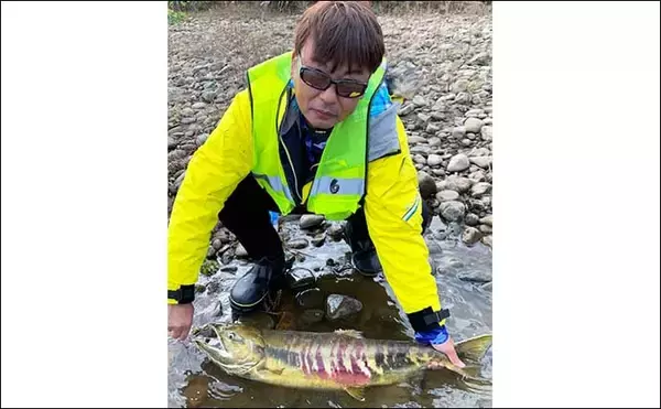 「サケ有効利用調査釣行で78cm4kg超えオス手中【新潟・五十嵐川】　力強いやり取りが魅力」の画像