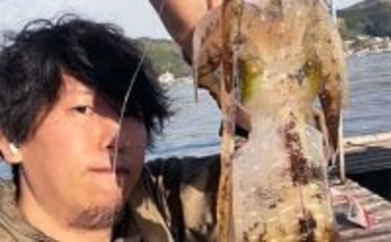 【カカリ釣り釣果速報】イカダエギング＆ヤエン釣りで良型アオリイカヒット中（三重）