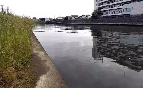 「冬の【千葉・村田川】でシーバスが連発！ 極寒の強風時こそ魚の活性高く狙い目？」の画像