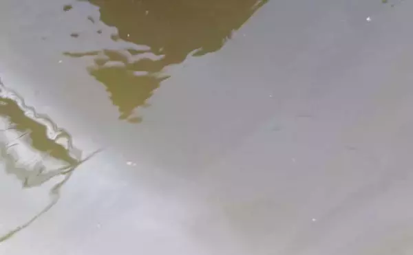 「昼も夜もシーバスキャッチ成功【千葉・村田川】ベイト多く高活性でも大苦戦のワケとは？」の画像