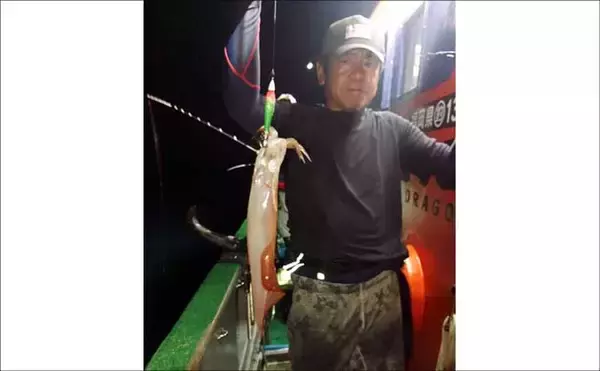 「【沖釣り釣果速報】玄界灘の夜焚きイカ船でケンサキイカ釣る人200尾達成！（福岡）」の画像