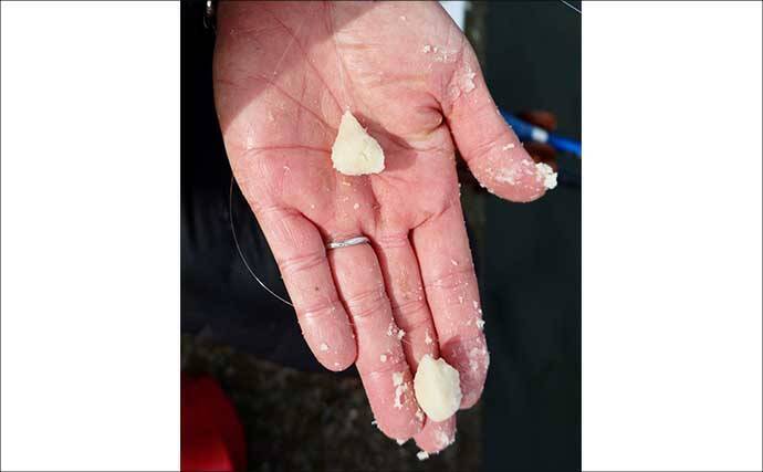 吉田康雄のザ・チャレンジへらぶな【川ベラでも狙ってみますか！#2】