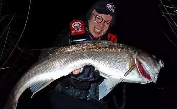 「九頭竜川のリバーシーバスゲームで80cmランカー捕獲！【福井】細身ミノーがハマった夜」の画像