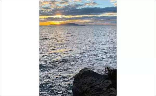 「ルアーロッド流用で磯からブダイ釣り　海苔エサで33cm本命をキャッチ」の画像