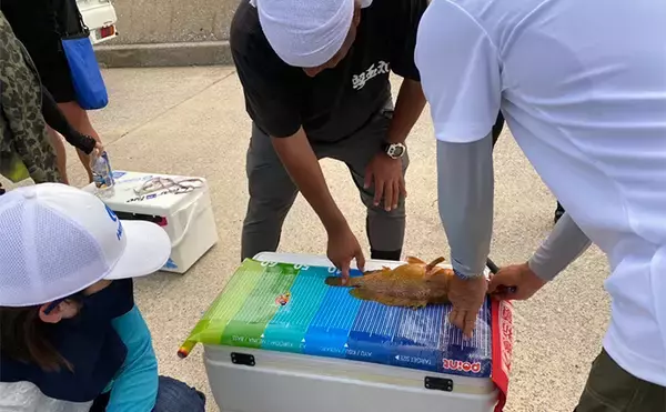 「女性だけでタイラバ＆ジギング釣り大会開催【福岡・志賀島】様々な魚種登場で参加者笑顔」の画像