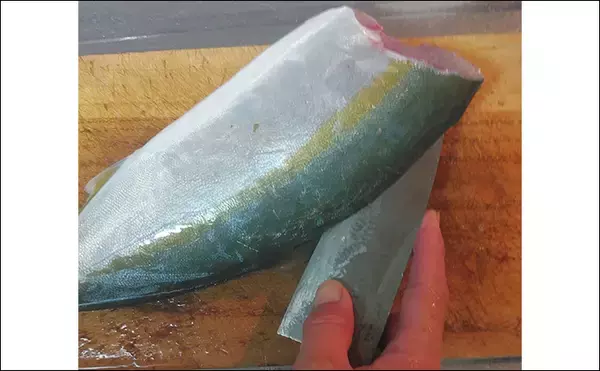 「釣魚で作る「カラダ健やか」レシピ：ヤズの酢洗い　5分締めればOK」の画像