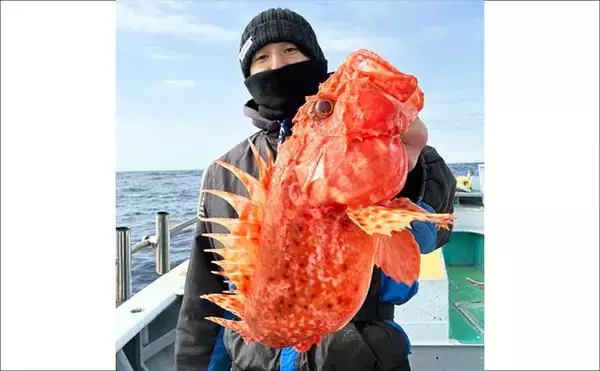 「【沖釣り釣果速報】1.5kg超オニカサゴ堂々浮上！底物五目で高級魚多彩（愛知・静岡）」の画像