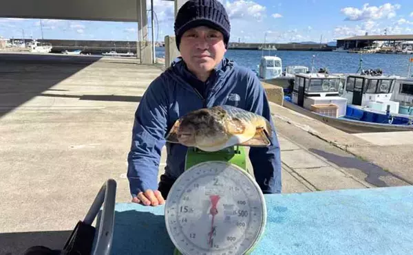 「【沖釣り釣果速報】1.5kg超オニカサゴ堂々浮上！底物五目で高級魚多彩（愛知・静岡）」の画像
