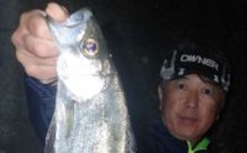 「ヒラスズキ釣りシーズン到来」夜の電気ウキ釣りで45cm頭に本命連発【上天草・熊本】