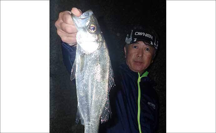 「ヒラスズキ釣りシーズン到来」夜の電気ウキ釣りで45cm頭に本命連発【上天草・熊本】