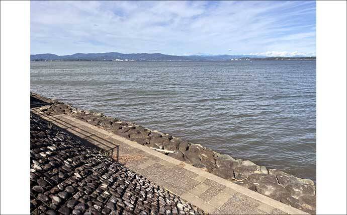 「だって知らなかったんだもん！」ダイソースプーンで高級魚クエを釣りあげる【静岡・表鷲津湖岸公園】