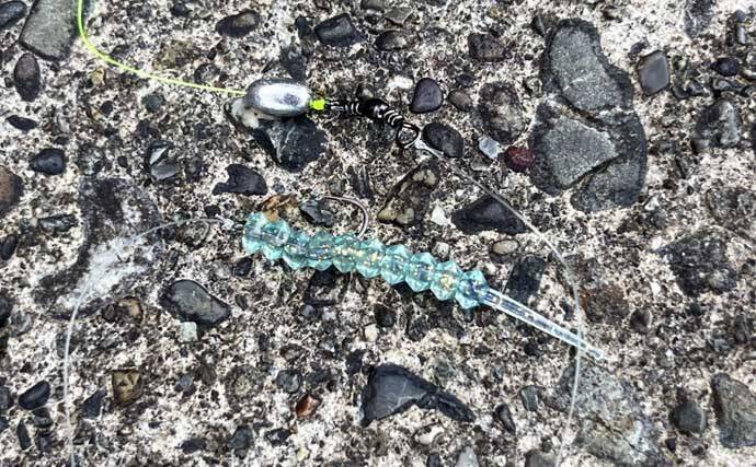 「だって知らなかったんだもん！」ダイソースプーンで高級魚クエを釣りあげる【静岡・表鷲津湖岸公園】