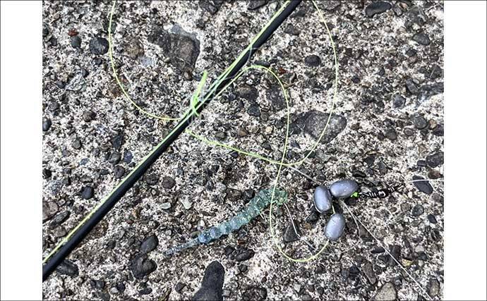 「だって知らなかったんだもん！」ダイソースプーンで高級魚クエを釣りあげる【静岡・表鷲津湖岸公園】