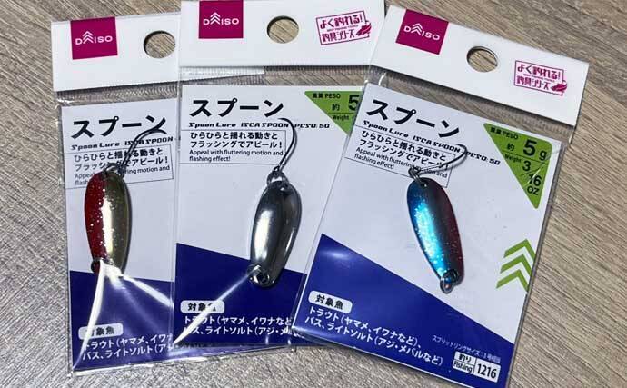 「だって知らなかったんだもん！」ダイソースプーンで高級魚クエを釣りあげる【静岡・表鷲津湖岸公園】
