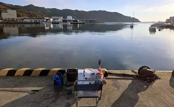 「女川港のイワシサビキ釣りで2時間60尾の入れ食いを堪能【宮城】海面が騒ぐほどの群れ来襲」の画像