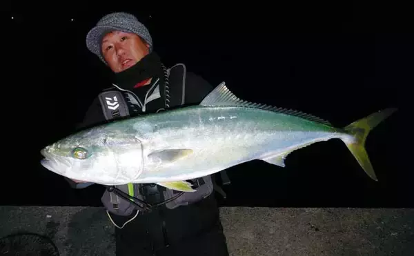 夜の堤防ブリゲームでブリ＆ハマチ連発【熊本・茂串漁港】シーバスタックルで攻略