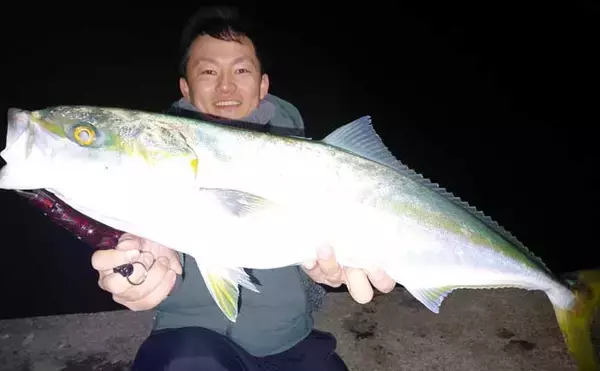 「夜の堤防ブリゲームでブリ＆ハマチ連発【熊本・茂串漁港】シーバスタックルで攻略」の画像