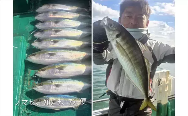 「関西エリアの【船釣り特選釣果】タイサビキでマダイ好反応！青物・根魚も各地で上向き」の画像