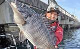 「ボートからウキダンゴ釣りで51cm頭に良型クロダイ9匹！【愛知】温排水ポイント狙い撃ち」の画像1